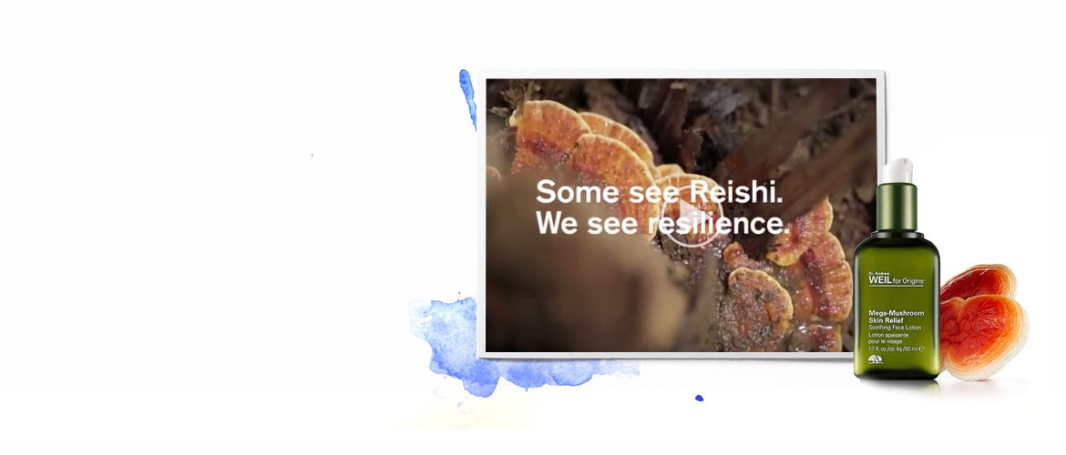 Reishi-Mega Mushroom , a slide in a video of Discover Dr.Andrew Weil of origins