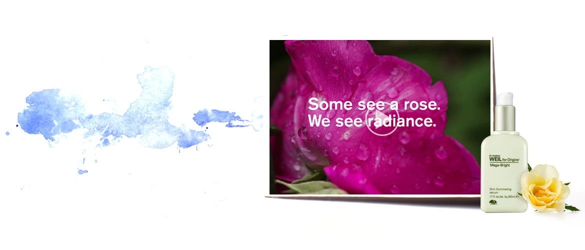 Petals of Rosa Roxburghii,a slide in a video of DR. WEIL MEGA-BRIGHT