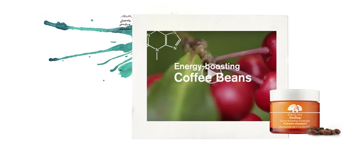 A bunch of coffee bean seeds in a branch,a slide in a video of GinZing origin's product