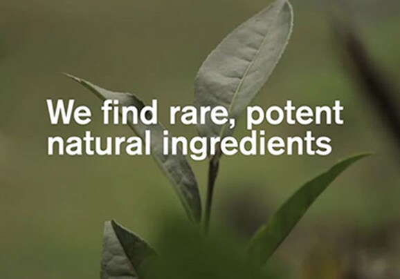 A plant potraying the natural ingredients of origin product, a slide in a video of journey in plant to formula