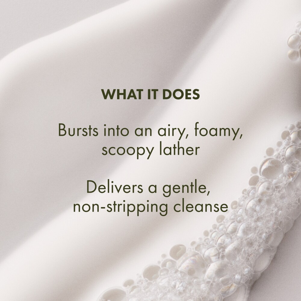 Checks and Balances Gentle Foaming Face Wash