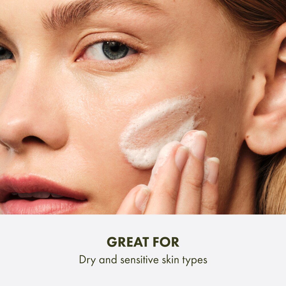 Checks and Balances Gentle Foaming Face Wash