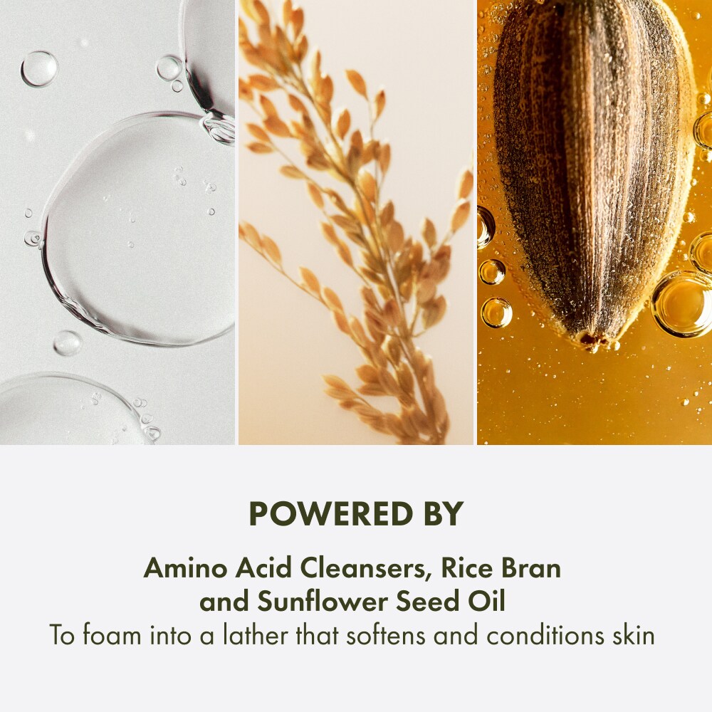 Checks and Balances Gentle Foaming Face Wash